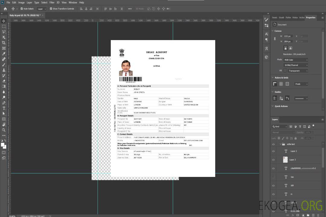 Modèle de visa électronique pour l'Inde aux formats Word et PDF, version 2 template